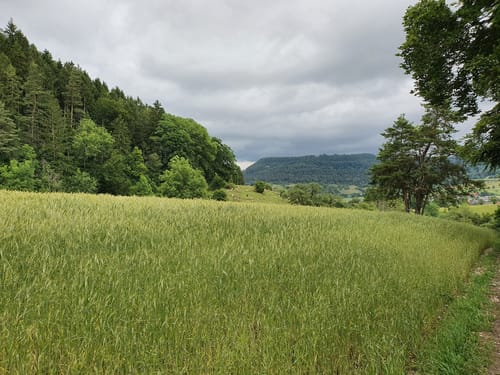 Dreifürstensteig (Premiumwanderweg)
