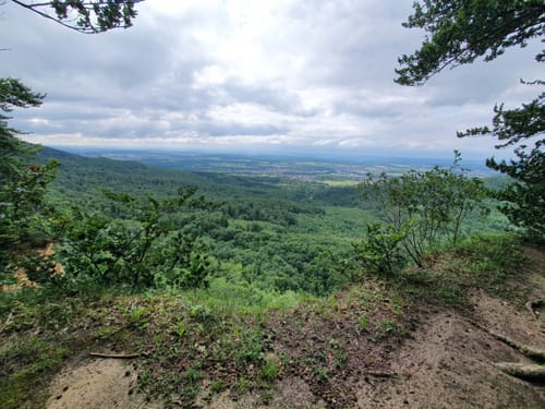 Dreifürstensteig (Premiumwanderweg)