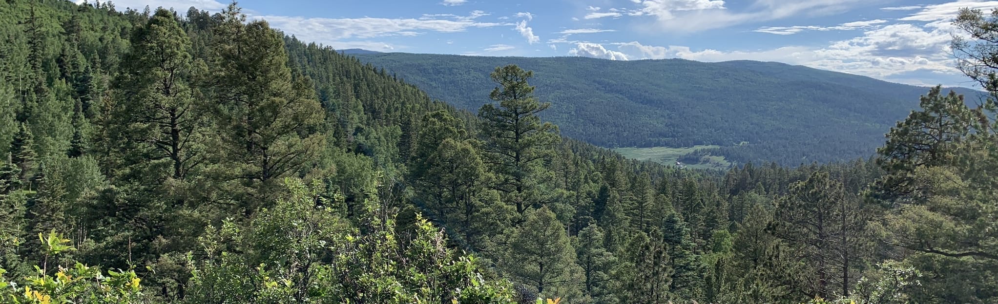 AllTrails 70A and 70B Loop 3 - EyJidWNrZXQiOiJhc3NldHMuYWxsdHJhaWxzLmNvbSIsImtleSI6InVwbG9hZHMvcGhvdG8vaW1hZ2UvMzgwMjM4NzEvMzIwOThkOTA0Mzg1YjE1ZmU1N2JhOGU2YzVkMjE5Y2YuanBnIiwiZWRpdHMiOnsidG9Gb3JtYXQiOiJqcGVnIiwicmVzaXplIjp7IndpZHRoIjoyMDQ0LCJoZWlnaHQiOjYyNCwiZml0IjoiY292ZXIifSwicm90YXRlIjpudWxsLCJqcGVnIjp7InRyZWxsaXNRdWFudGlzYXRpb24iOnRydWUsIm92ZXJzaG9vdERlcmluZ2luZyI6dHJ1ZSwib3B0aW1pc2VTY2FucyI6dHJ1ZSwicXVhbnRpc2F0aW9uVGFibGUiOjN9fX0=