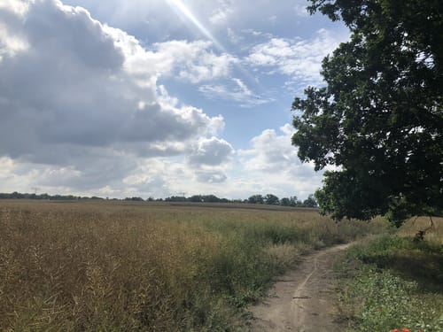 Rund ums Feld bei der B1