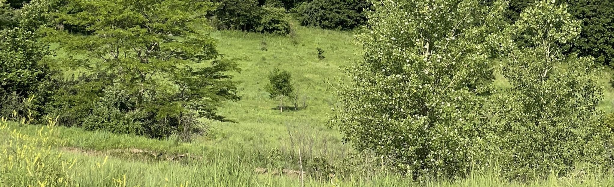 Rakes Creek State Wildlife Management Area, Nebraska 15 Reviews, Map