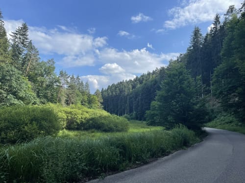 Dahn Seerosen-Tour