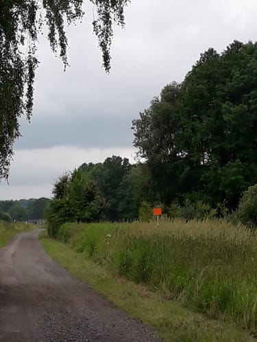 Freudenthalweg Etappe 6: Bad Fallingbostel - Sieverdingen