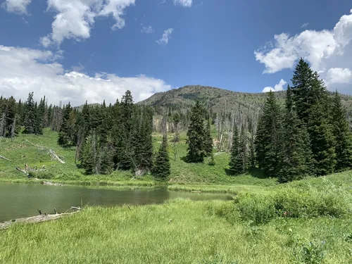 Best Backpacking Trails in Spencer AllTrails