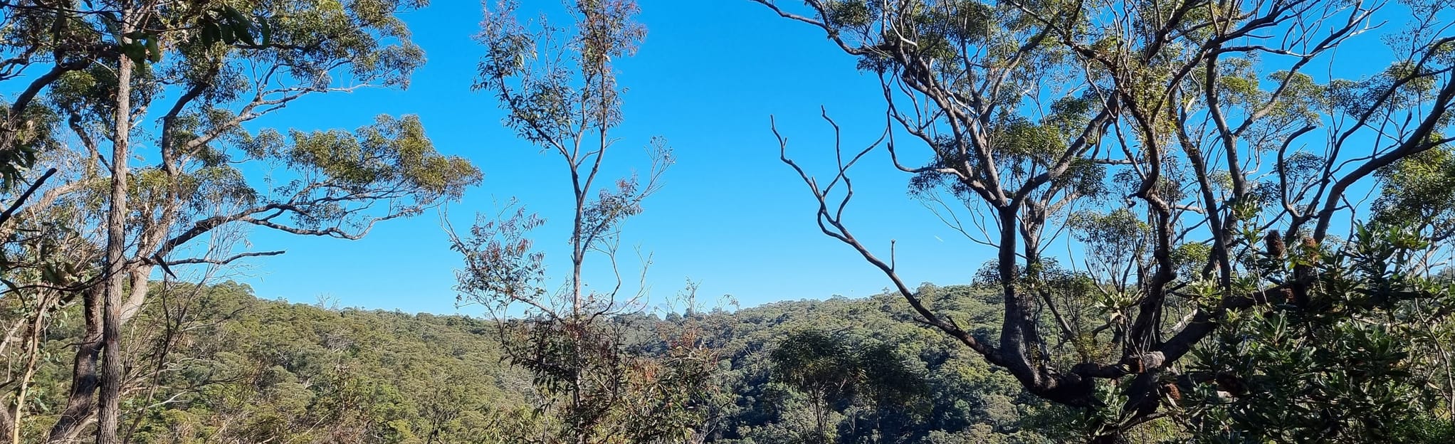 Birdwood Gully Round Link 274 foto's New South Wales, Australia