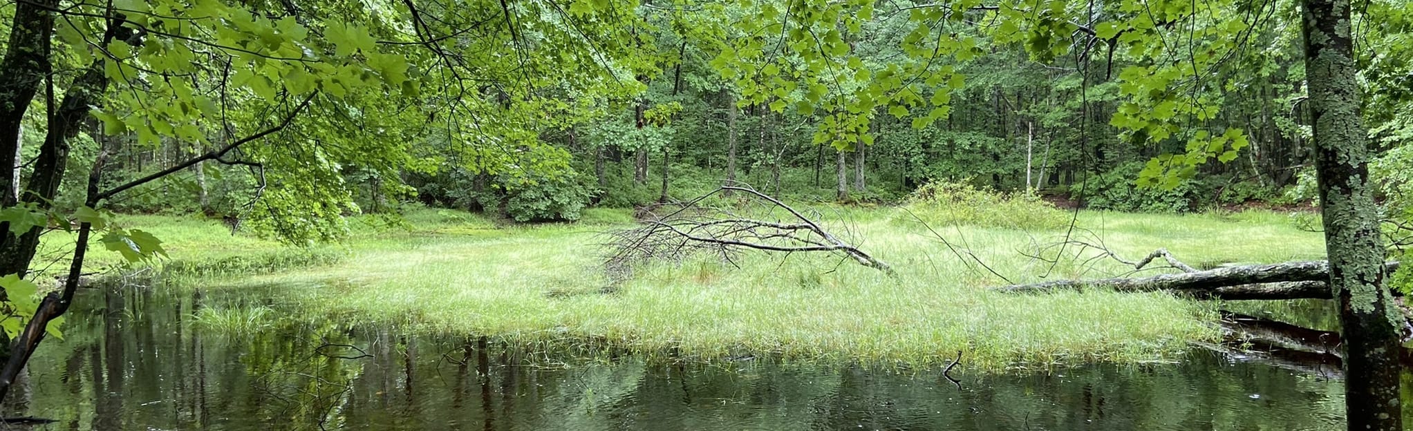 Heron Trail Loop 57 Reviews, Map New Hampshire AllTrails