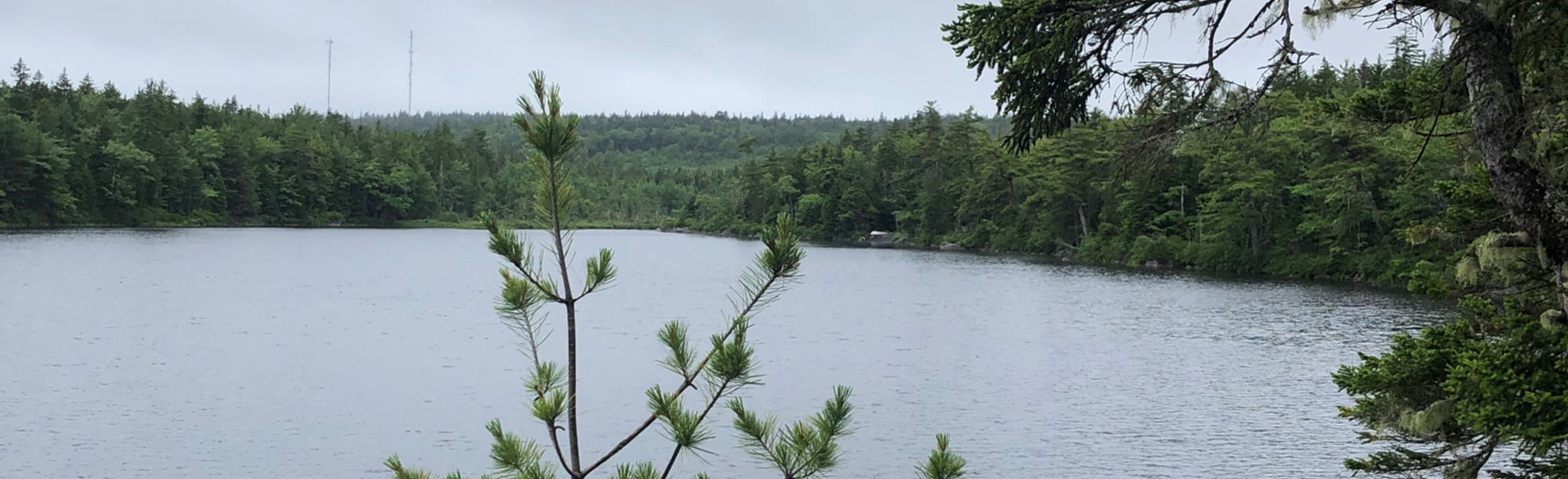 Flat Lake, Nova Scotia, Canada 82 Reviews, Map AllTrails