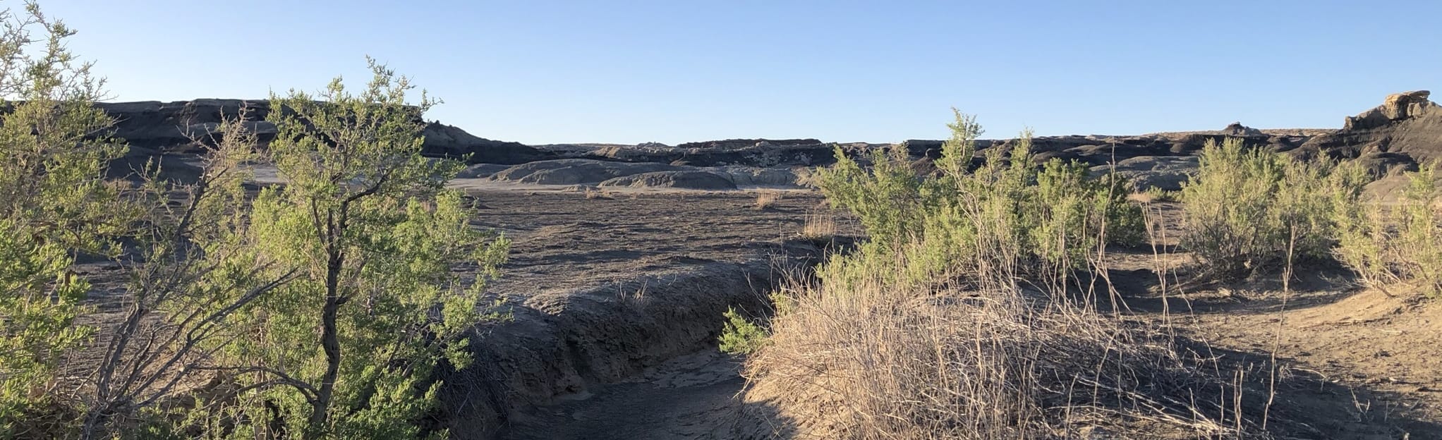 Bisti Wash Loop 276 Reviews, Map New Mexico AllTrails