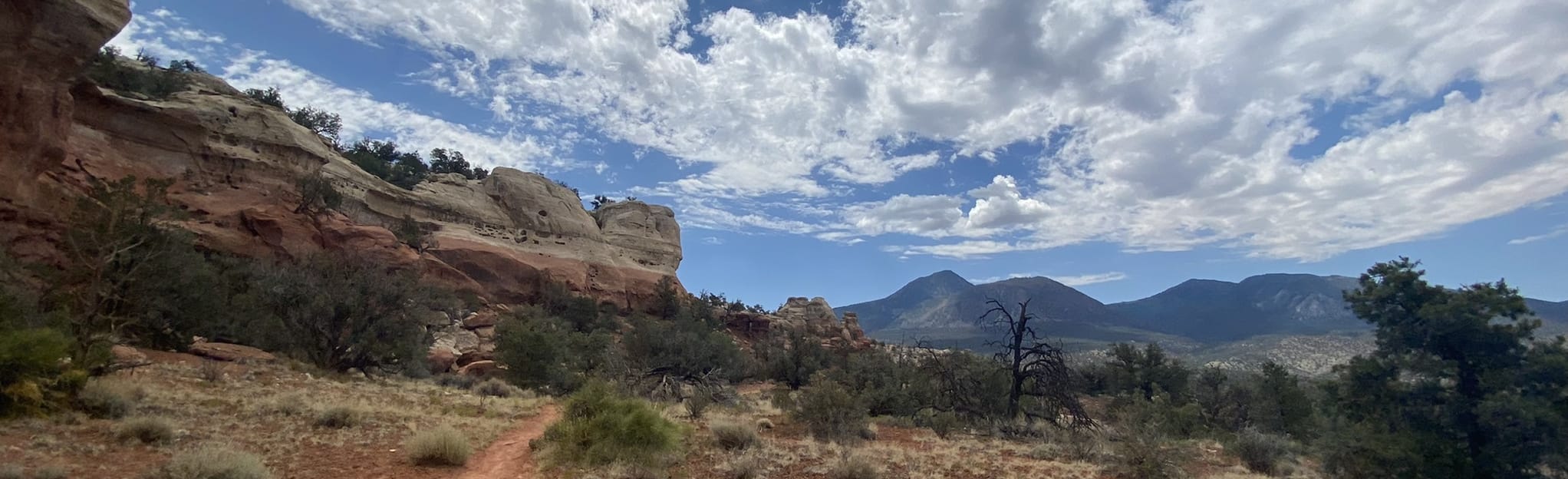 AllTrails Sand Canyon and East Rock Creek Loop 9 Reviews, Map Colorado