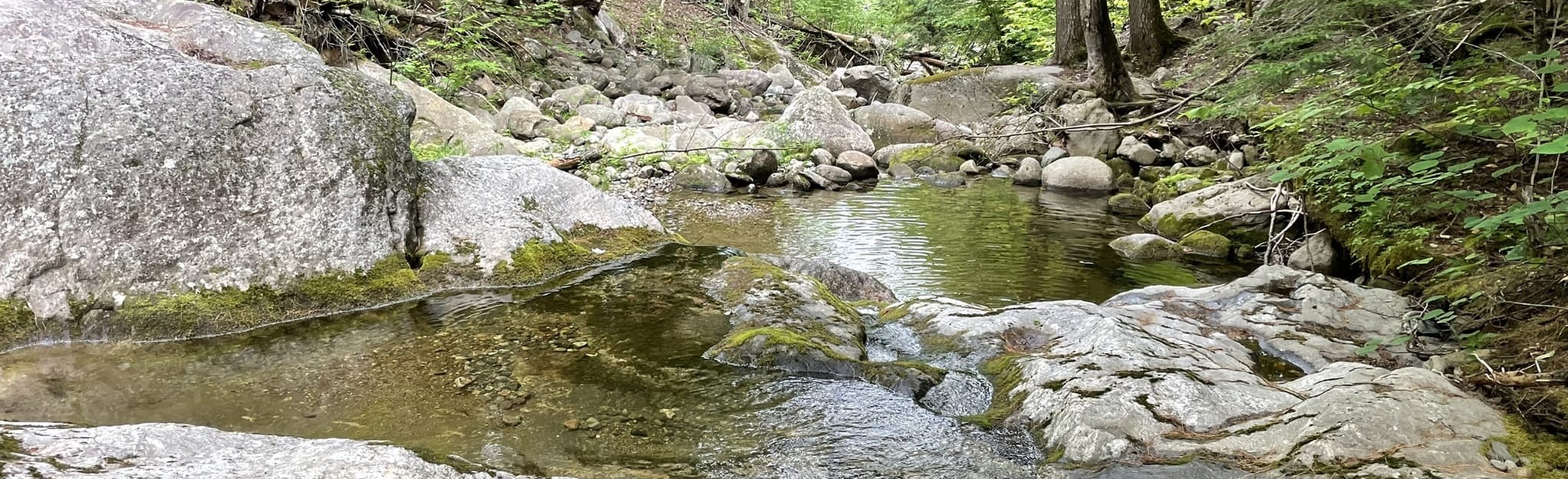 Chapman Brook and Sam's Trail Loop 82 Reviews, Map Maine AllTrails