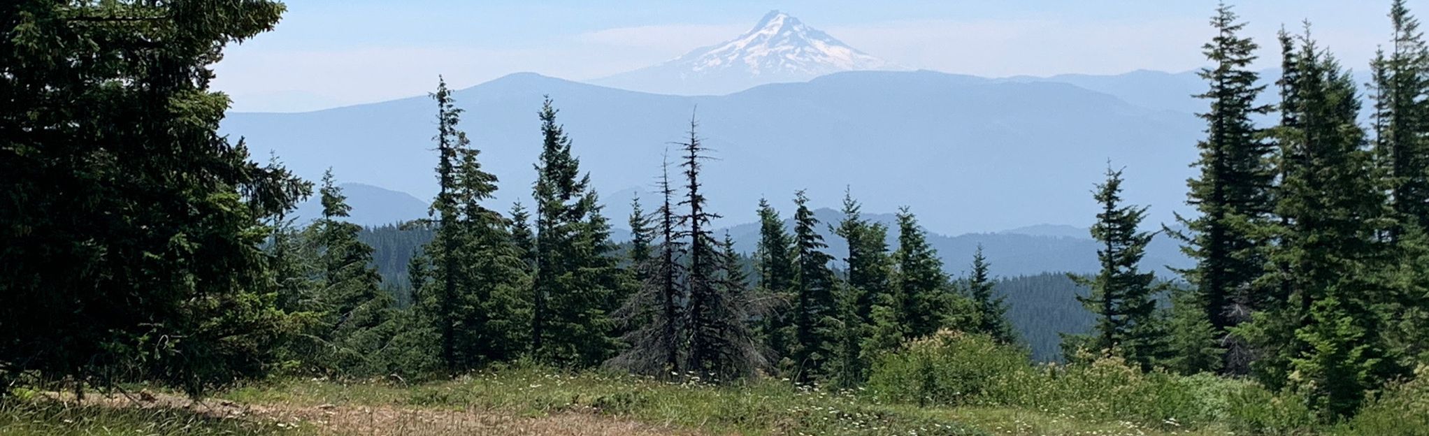 Big Huckleberry Mountain via PCT South 23 Reviews, Map Washington