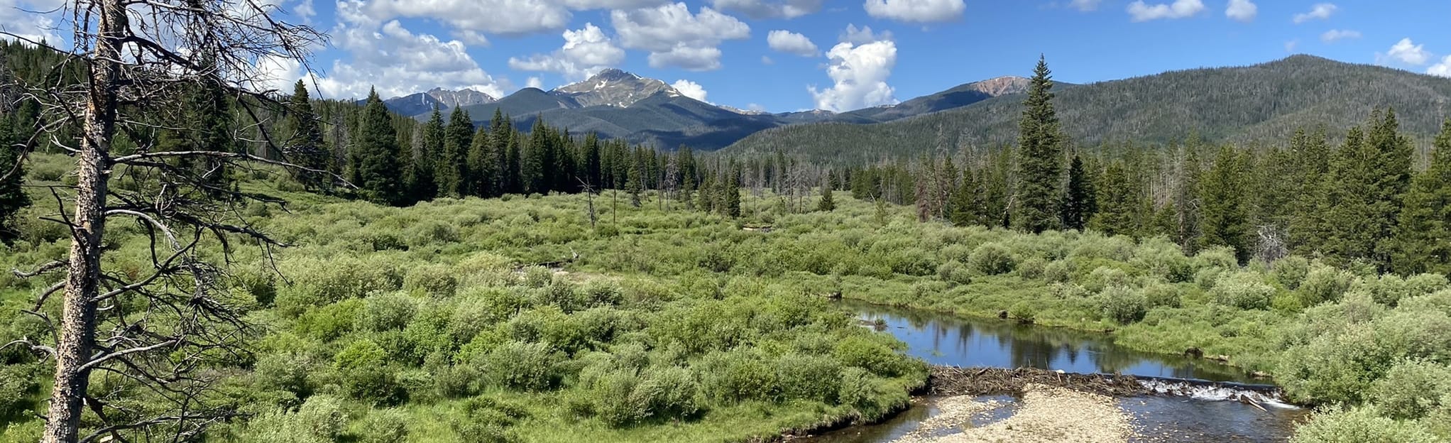 Zoom, Chainsaw, Flume Trails Loop, Colorado 75 Reviews, Map AllTrails