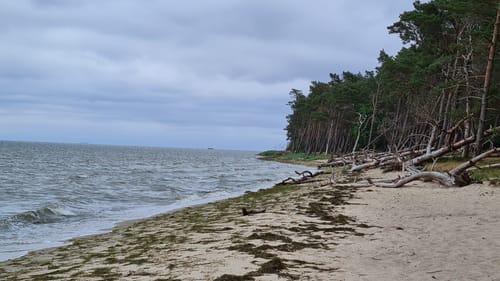 Um den Bergsee Alt Gaarz
