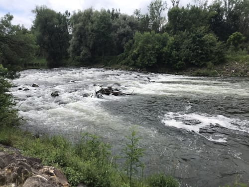 An der Isar zwischen Grüneck und Achering