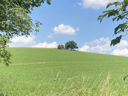 Auf Alter Bahnstrecke im Beuthaer Wald