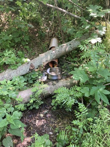 Auf Alter Bahnstrecke im Beuthaer Wald