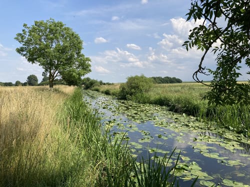 Oesselse - Lühnde - Gödringen