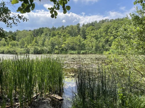 Rundwanderweg Sutschketal