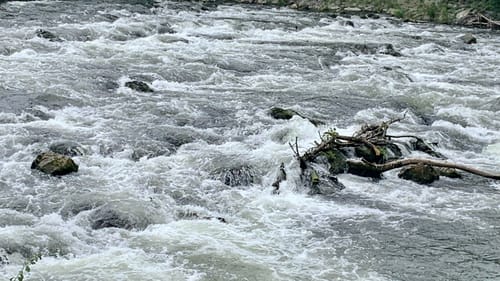 An der Isar zwischen Grüneck und Achering