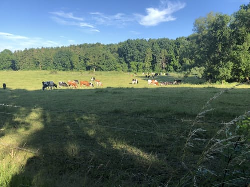 MTB Tour: Priwall - Boltenhagen