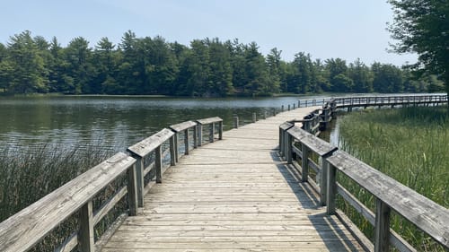 2023 Best Easy Trails in Ludington State Park | AllTrails