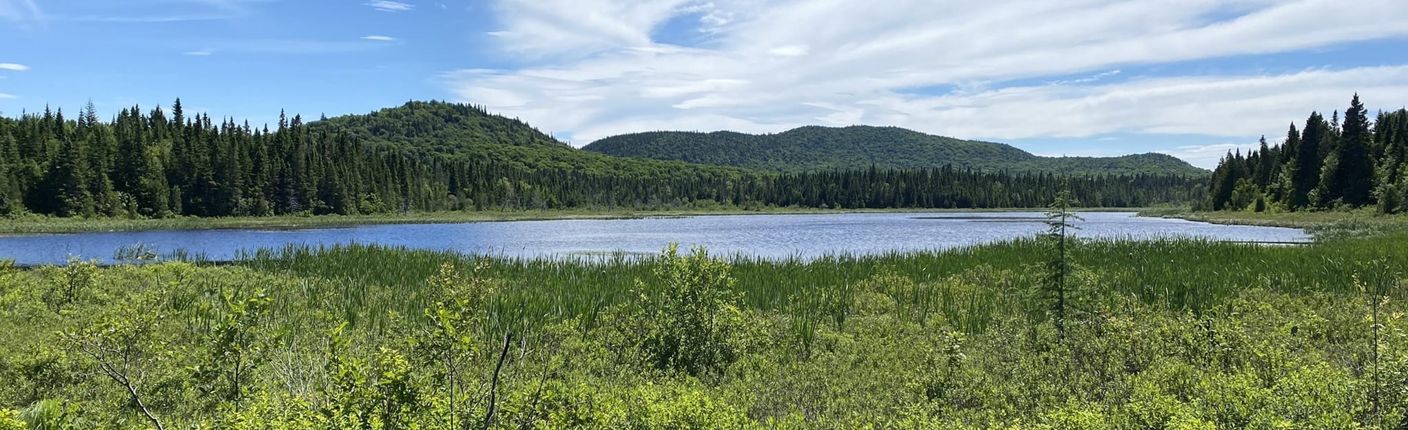 AllTrails Lac SaintTite Refuge Cap Gribane 173 Reviews, Map