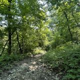 Wyco Lake Bridle Trail, Kansas - 121 Reviews, Map | AllTrails