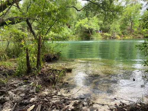 Edward Ball Wakulla Springs State Park