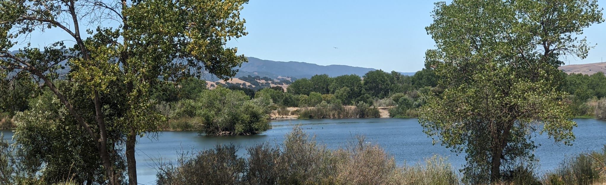 AllTrails | Coyote Creek and Ogier Ponds Trail: 67 Reviews, Map