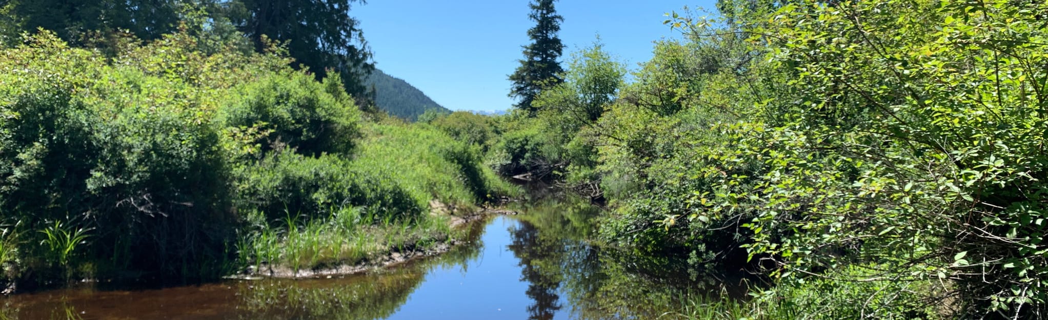 Sayward Forest Canoe Route, British Columbia, Canada 19 Reviews, Map