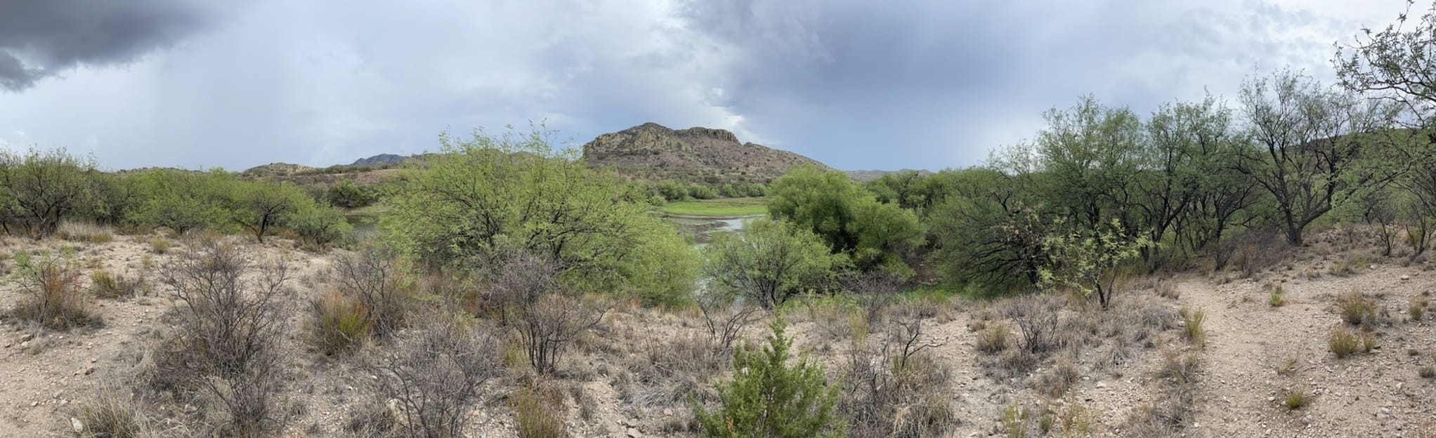 Arivaca Lake Shore Trail, Arizona 8 Reviews, Map AllTrails