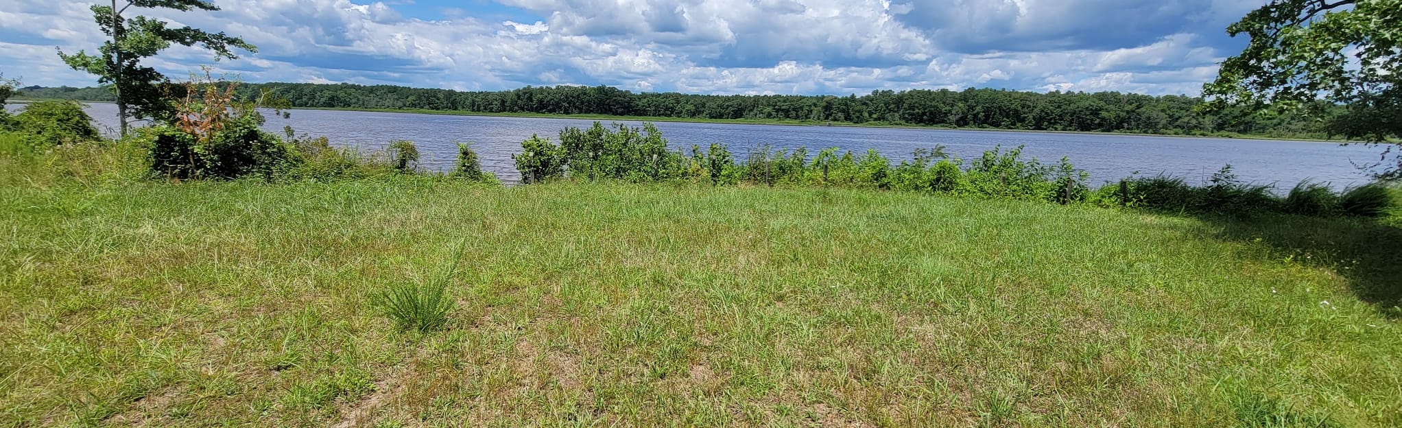 Sandy Point State Forest Trails, Virginia 97 Reviews, Map AllTrails