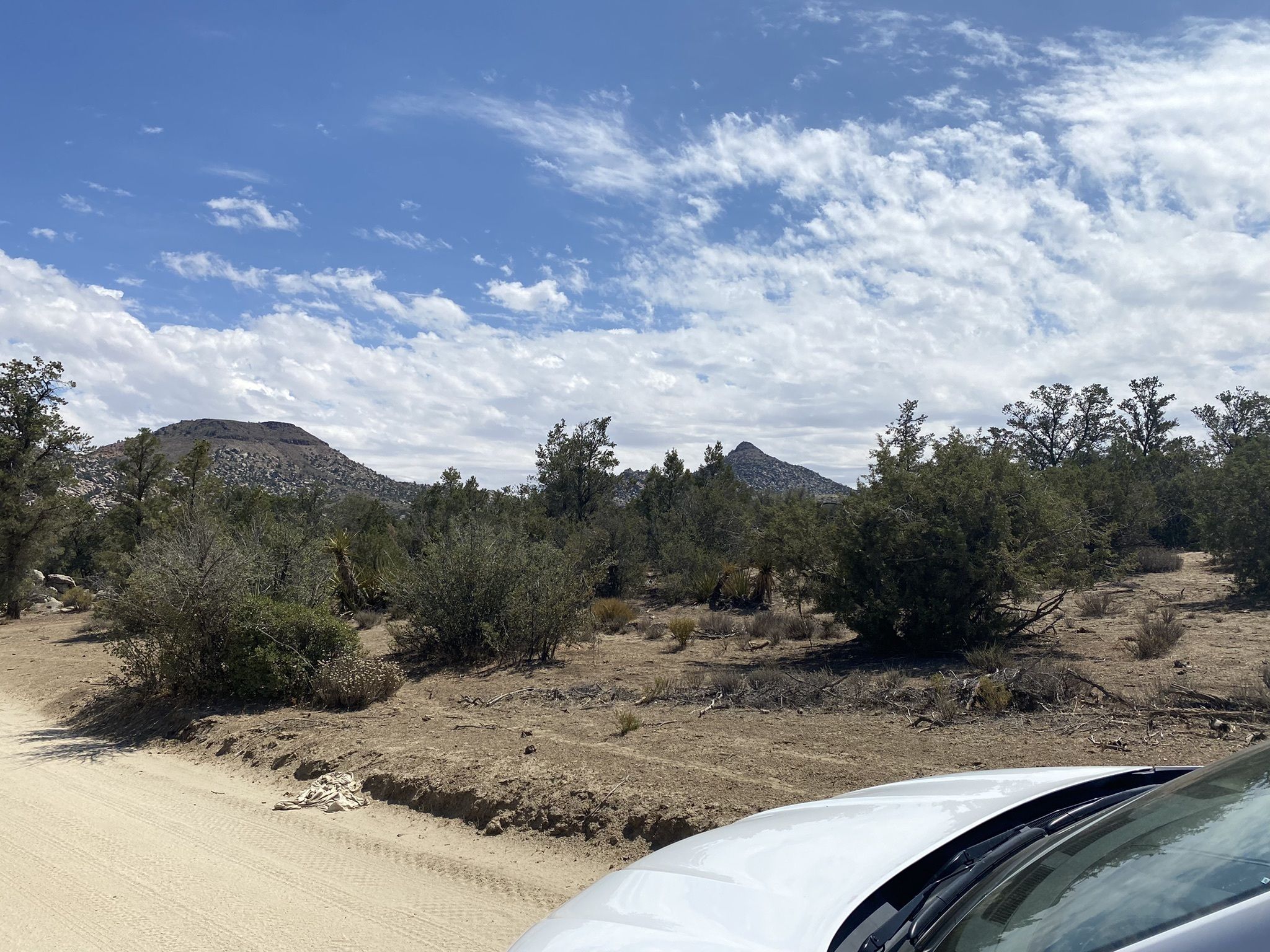 Photos of Cerro Teta de la India - Baja California, Mexico | AllTrails