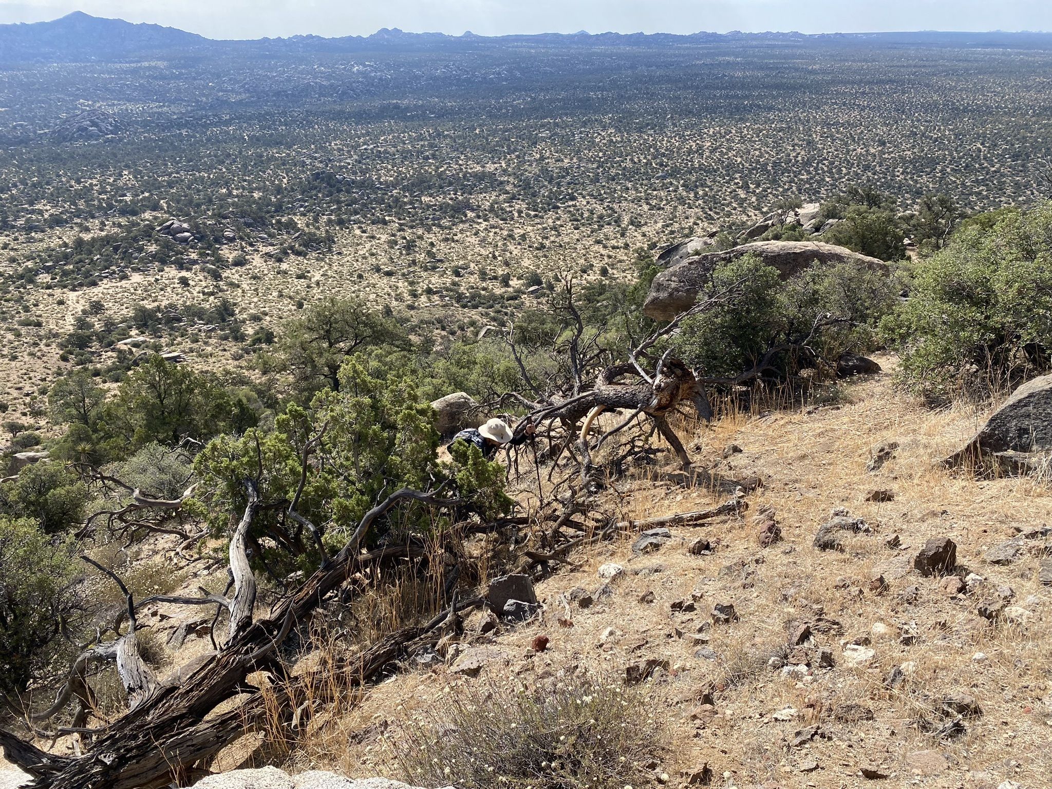 Photos of Cerro Teta de la India - Baja California, Mexico | AllTrails