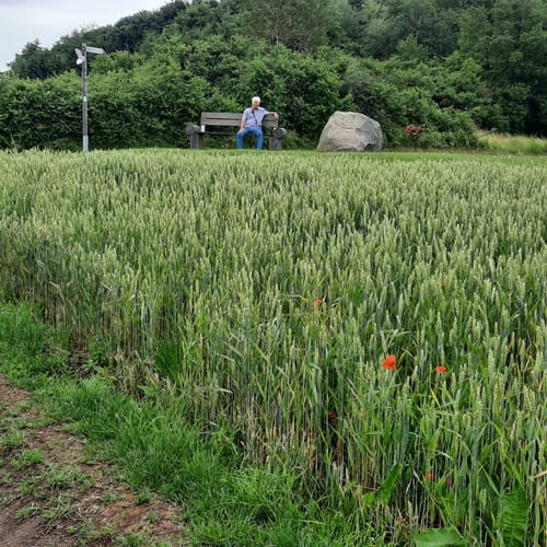 50
