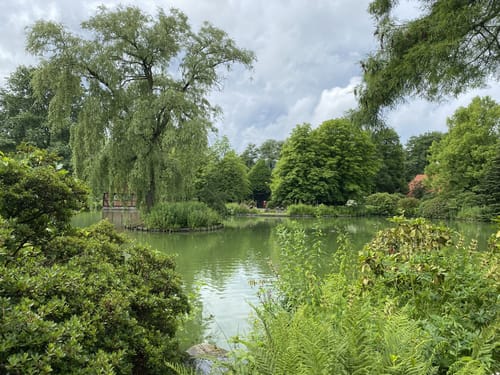 Im Weltvogelpark Walsrode