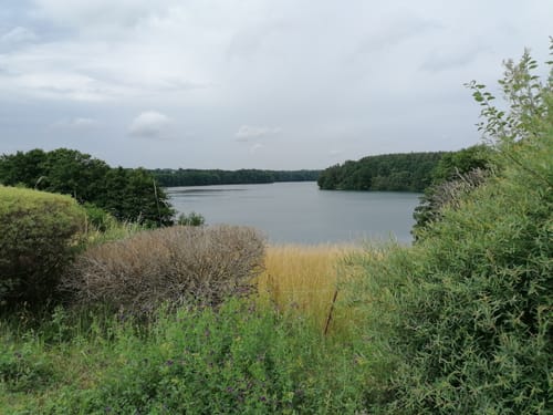 Von Carwitz um den Dreetzsee