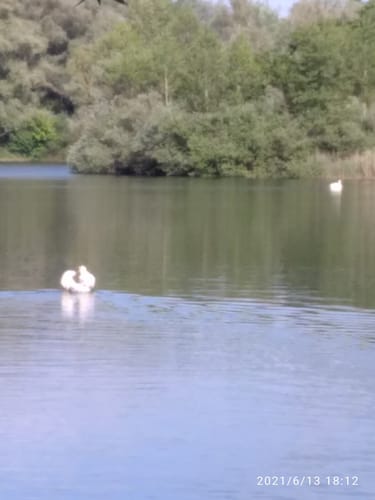 Ditfurter See ab Quedlinburg