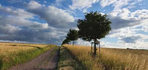 Walburga Wanderweg