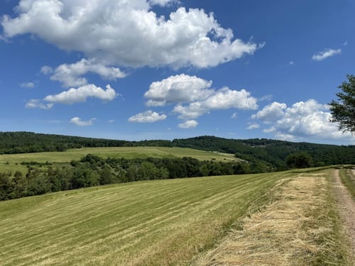 Der Überhöhische (Premiumwanderweg)