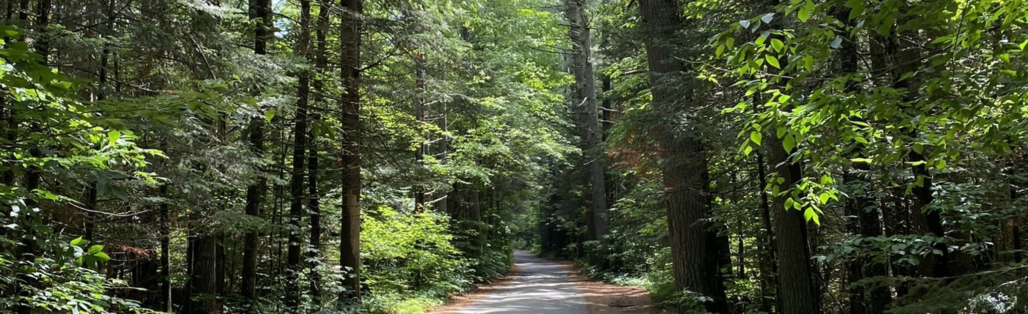 Bridal Veil Falls Trail, New Hampshire 1,586 Reviews, Map AllTrails