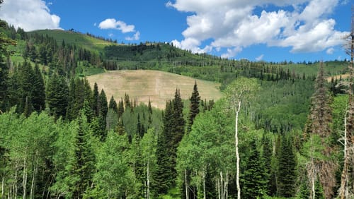 Deer Valley Hiking Trails Best 10 Trails In Deer Valley Resort | Alltrails