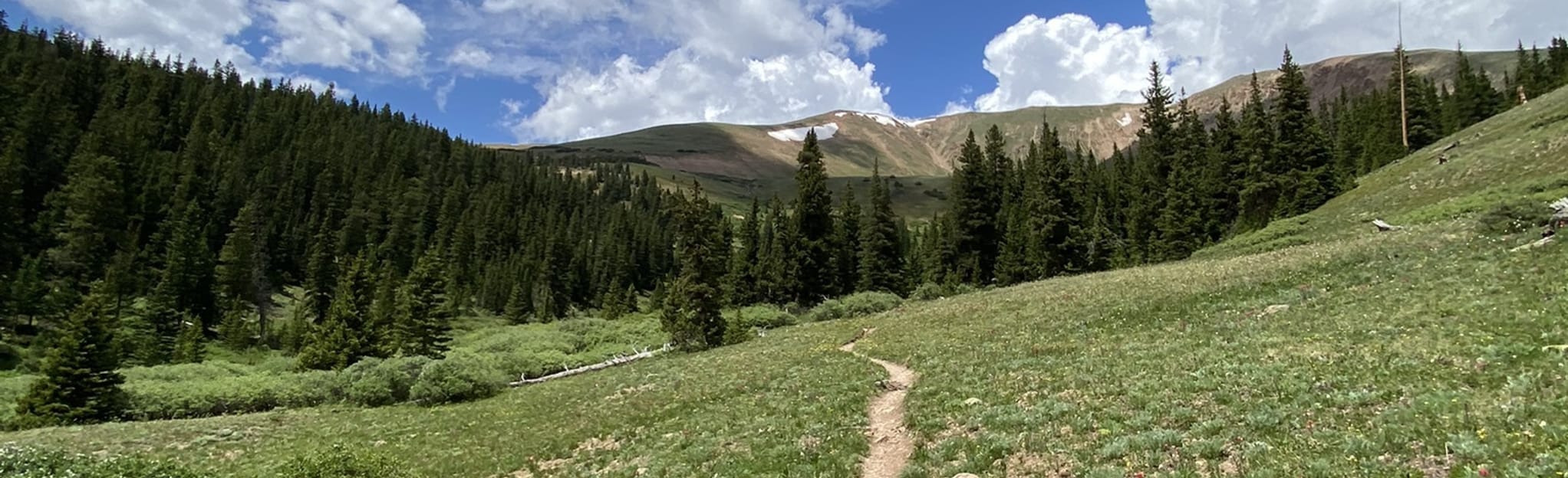 Watrous Gulch Trail, Colorado 647 Reviews, Map AllTrails