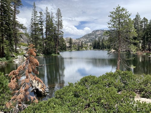 Emigrant 2025 wilderness loop