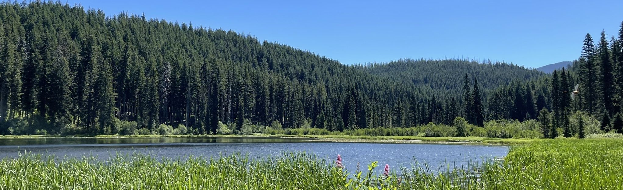 Marion Lake Lake Ann Via Marion Lake Trail 3436 : 181 Photos - Oregon 