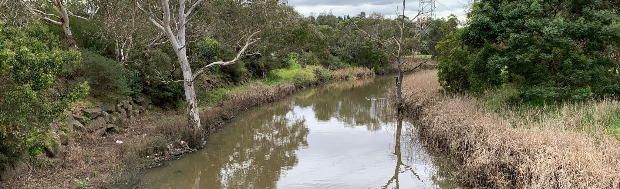Moonee Ponds Creek Trail Pascoe Vale to Attwood 75 foto
