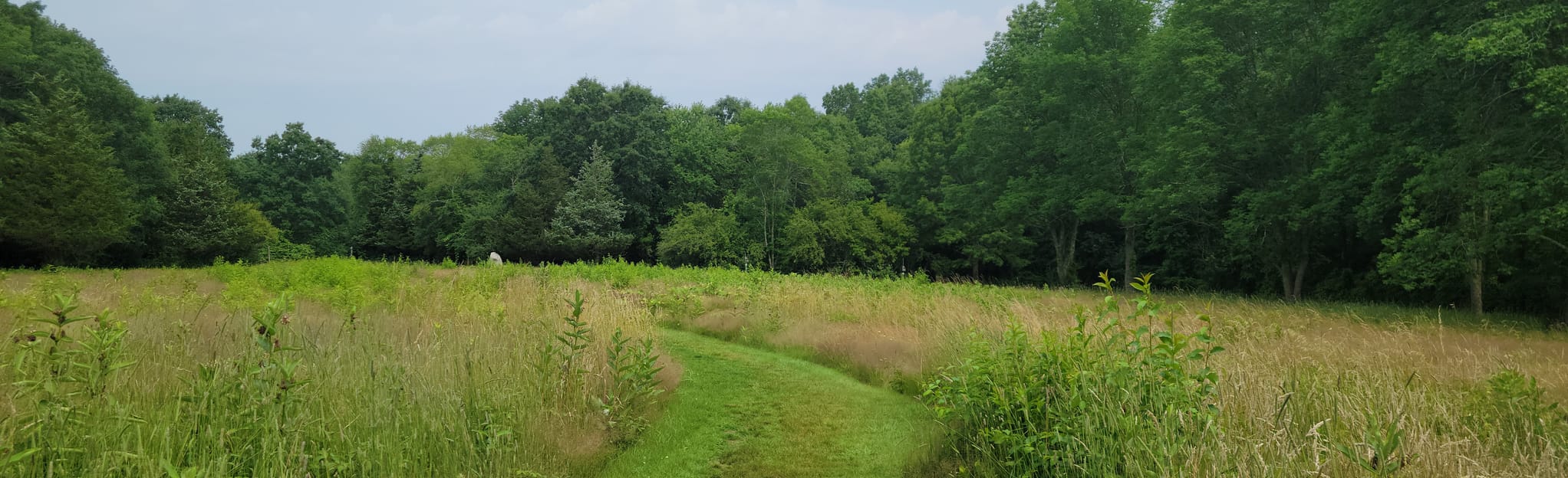 The Willowbrook Farm Trail 371 Reviews, Map Massachusetts AllTrails