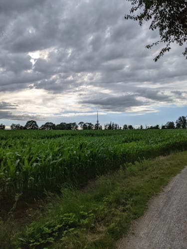 Werseradweg: Albersloh - Emsaue