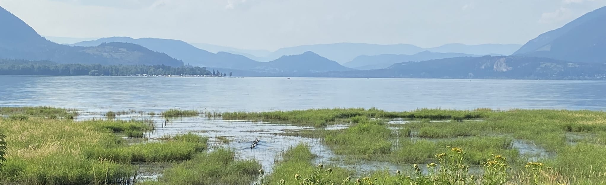 Salmon Arm Pier Trail , British Columbia, Canada 147 Reviews, Map