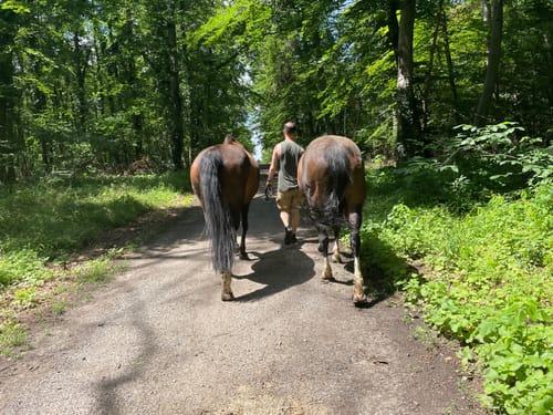 Weiterstadt Runde